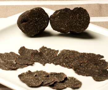 trufa negra fresca melanosporum truffle truffe